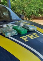 Em Guajará-Mirim/RO, PRF apreende drogas ilícitas