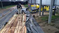 Em Rondônia, PRF identifica transporte irregular de produtos florestais