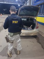 Em Ariquemes/RO, PRF apreende 150 Kg de Cassiterita