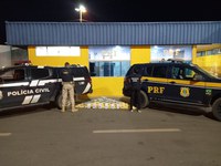 Em ação conjunta, PRF e Polícia Civil apreendem 64 Kg de cocaína em Vilhena/RO
