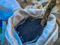 Em Ariquemes/RO, PRF apreende mais de 800 Kg de cassiterita