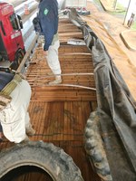 Em Rondônia, PRF apreende quase 100 metros cúbicos de madeiras