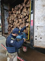 Em Ji-Paraná/RO, PRF apreende 142 metros cúbicos de madeiras em uma semana