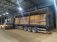 Em Ariquemes/RO, PRF identifica transporte irregular de madeira