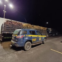 Em Porto Velho/RO, PRF identifica transporte irregular de madeira