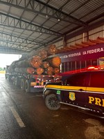 Em Ariquemes/RO, PRF realiza apreensão de 77 m³ de madeiras