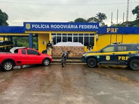 PRF realiza apreensão de 12 mil maços de cigarro em Porto Velho/RO