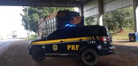 Em Jaru/RO, PRF realiza apreensão de 23 m³ de madeiras