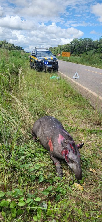 WhatsApp Image 2024-01-18 at 12.13.41.jpeg