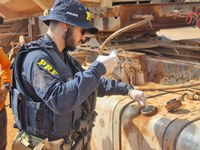 Em Rondônia, PRF finaliza Operação Temática contra Crimes Ambientais (OTECA)
