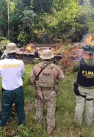 Em Rondônia, PRF participa de operação para remoção de invasores da Terra Indígena Karipuna