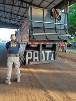 Em Ariquemes/RO, PRF realiza apreensão de 38,4 m³ de materiais florestais