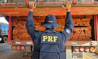 PRF em Rondônia, no último final de semana, apreendeu mais de 88 m³ de madeira transportada irregularmente