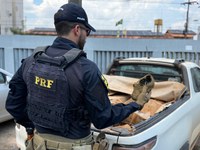 PRF em Rondônia apreende 1 tonelada de minério em Itapuã do Oeste