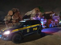 Em Ariquemes-RO, PRF identifica transportes irregulares de madeira
