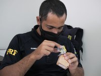 Em Ji-Paraná/RO, PRF e TJRO realizam capacitação dos efetivos em enfrentamento a crimes ambientais