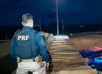 Em Rondônia, PRF realiza grande apreensão de madeira irregular nesta semana