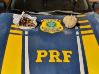 Em Guajará-Mirim/RO, PRF apreende maconha e skank bolivianos