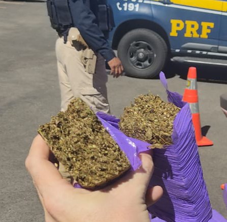 Em Ji-Paraná/RO, PRF apreende 2 kg de maconha
