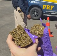 Em Ji-Paraná/RO, PRF apreende 2 kg de maconha