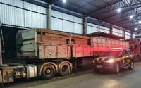 Em Ariquemes/RO, PRF identifica transporte irregular de madeira