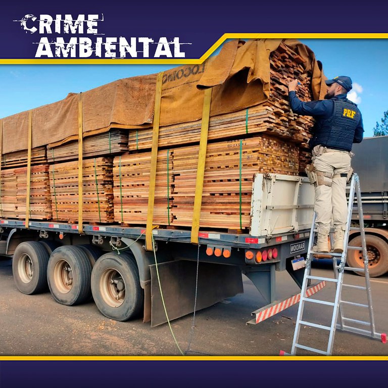 WhatsApp Image 2022-04-27 at 14.37.53.jpeg