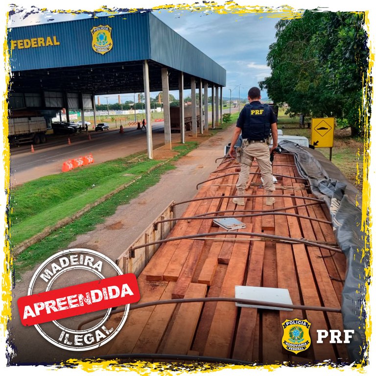 Em Ariquemes/RO, PRF identifica transporte irregular de madeira; atividade faz parte da Operação Guardiões do Bioma
