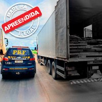 Em Ariquemes/RO, PRF identifica transporte irregular de madeira