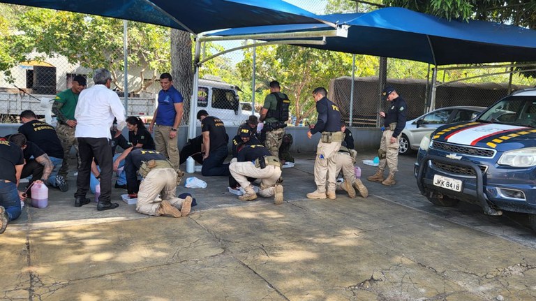 WhatsApp Image 2022-06-22 at 16.13.11.jpeg