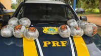 PRF em Rondônia apreende aproximadamente 11 kg de droga em ônibus na BR 425