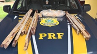 PRF em Rondônia apreende cerca de 6 kg de cocaína na BR-364