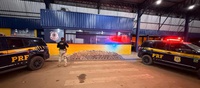 PRF em Rondônia apreende mais de 270 kg de drogas durante fiscalização na BR-364