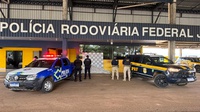 PRF em Rondônia, com apoio da PMRO, apreende mais de 160 KG de substância análoga à skunk no município de Alvorada D’Oeste.