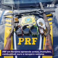 PRF em Roraima apreende armas, munições, combustível, ouro e recupera veículos