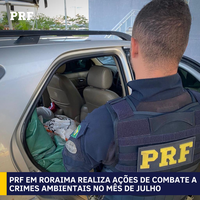PRF em Roraima realiza ações de combate a crimes ambientais no mês de julho