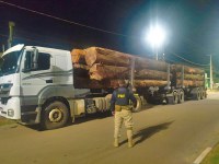 PRF em Roraima apreende 115m³ de madeira irregular no Sul do estado