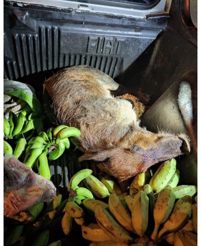 WhatsApp Image 2022-10-03 at 08.18.33 (2).jpeg