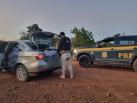 PRF em Roraima apreende uma tonelada de alho, uma arma, munições e prende uma pessoa com mandado de prisão