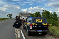 Operação Sumaúma: PRF intensifica ações de fiscalização ambiental em Roraima