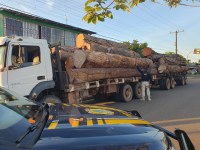 PRF apreende 39 m³ de madeira sendo transportadas irregularmente