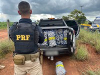 PRF apreende mais de uma tonelada de alho em Bonfim