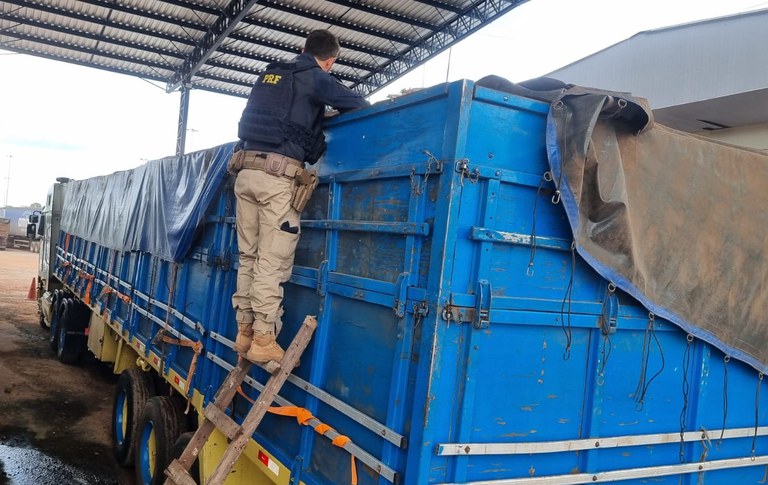 WhatsApp Image 2024-02-26 at 12.03.39.jpeg