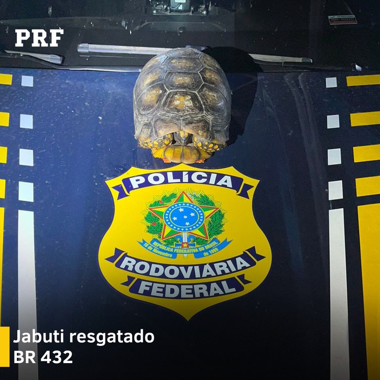 WhatsApp Image 2024-02-23 at 14.04.39 (2).jpeg