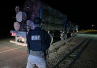 PRF apreende arma de fogo, munições e madeira irregular em Caracaraí/RR