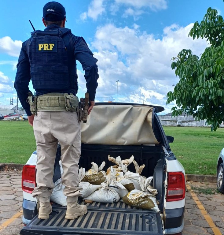 Imagem do WhatsApp de 2025-08-05 à(s) 15.17.29_fc709ef7.jpg