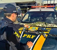 PRF apreende rifle e munições em Boa Vista