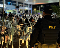 Direitos Humanos: PRF realiza operação de prevenção e repressão a crimes contra crianças e adolescentes