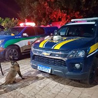 PRF e PMRR apreendem 3,5kg de drogas em Roraima
