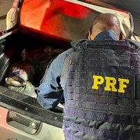 PRF apreende 800 kg de Cassiterita na BR-174 em Roraima