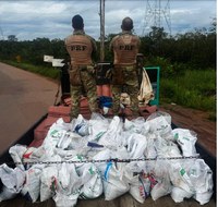 PRF apreende quase três toneladas de Cassiterita no Jundiá-RR